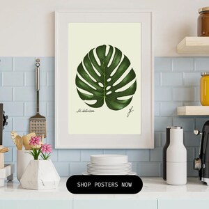 Monstera print in a white frame on a kitchen wall