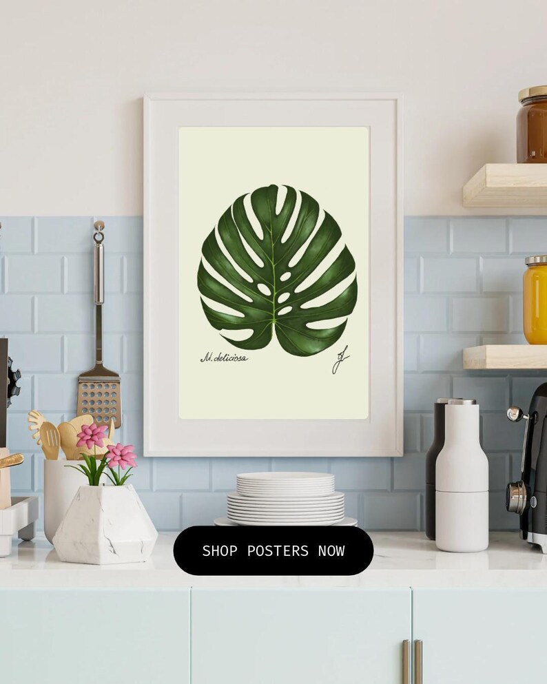 Monstera print in a white frame on a kitchen wall