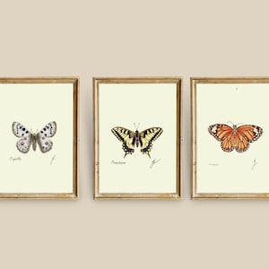 Butterfly Prints: Entomology Wall Art, Nature Study (Digital Download)