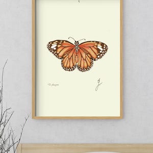 Monarch print in a wooden framed print above a bed