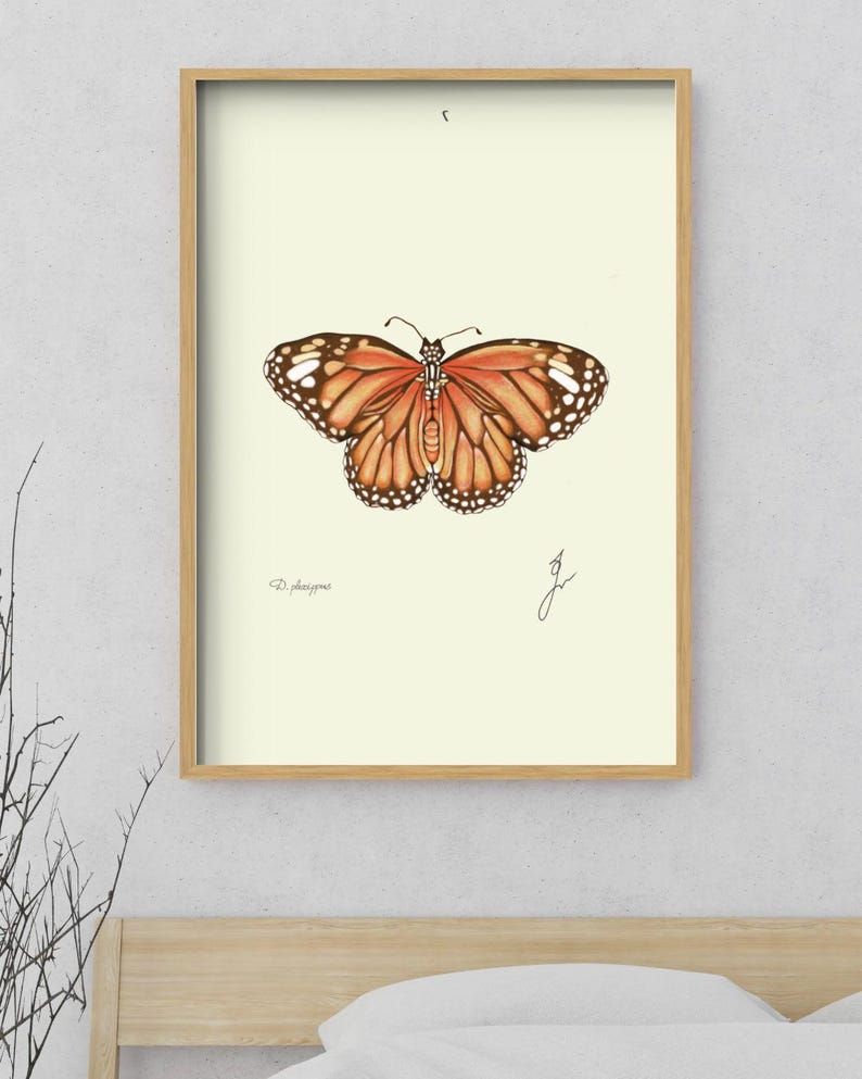 Monarch print in a wooden framed print above a bed