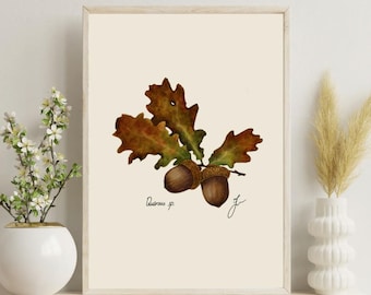 Vintage Oak Leaf Botanical Print: Farmhouse Wall Art (Digital Download)
