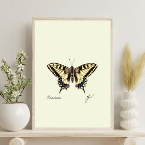 Machaon Butterfly Print: Vintage Naturalist Illustration (Digital Download)