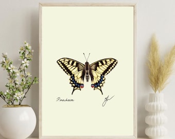Machaon Swallowtail Butterfly Print | Entomology Art Digital Download