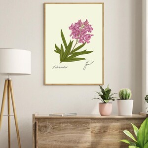 Oleander print in a wooden frame hanging on a white wall