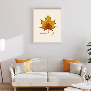 Acer print in a white framed print on a white wall above a white couch