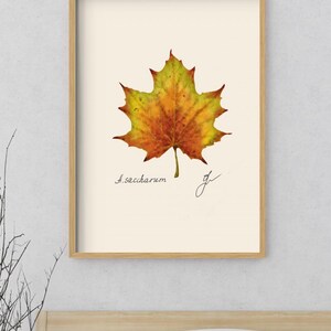 Acer print in a wooden framed print above a bed