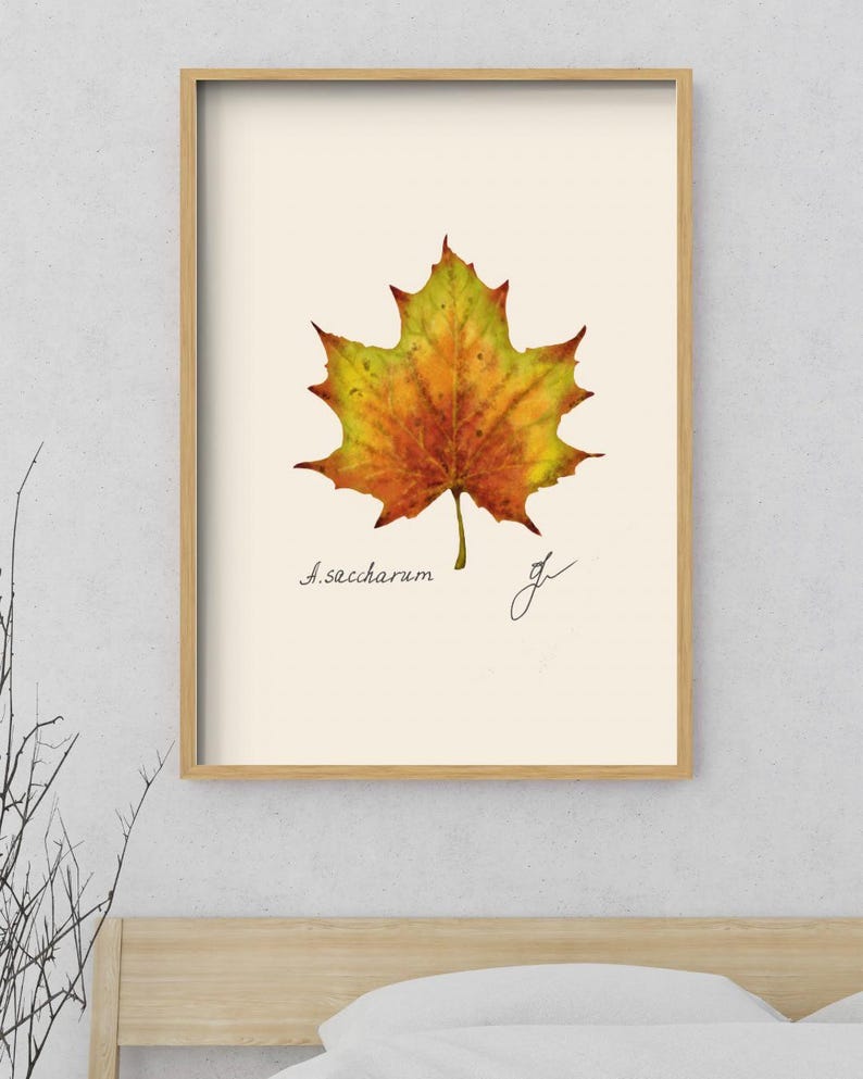 Acer print in a wooden framed print above a bed