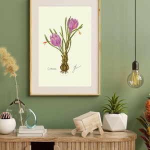 Crocus print in a wooden frame with white passpartout hanging on a green wall above the dresser