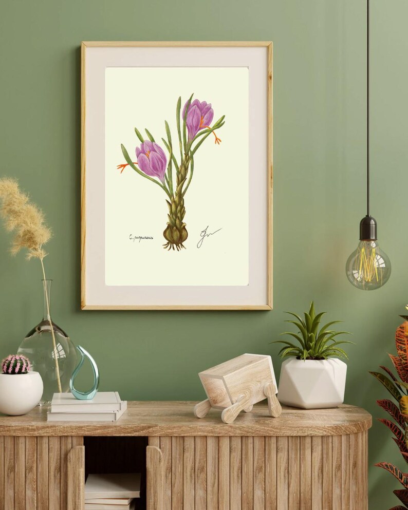 Crocus print in a wooden frame with white passpartout hanging on a green wall above the dresser