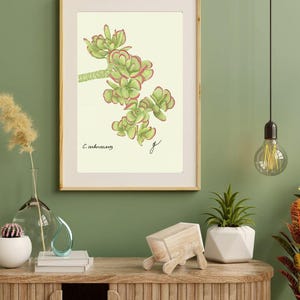 Jade print in a wooden frame with white passpartout hanging on a green wall above the dresser