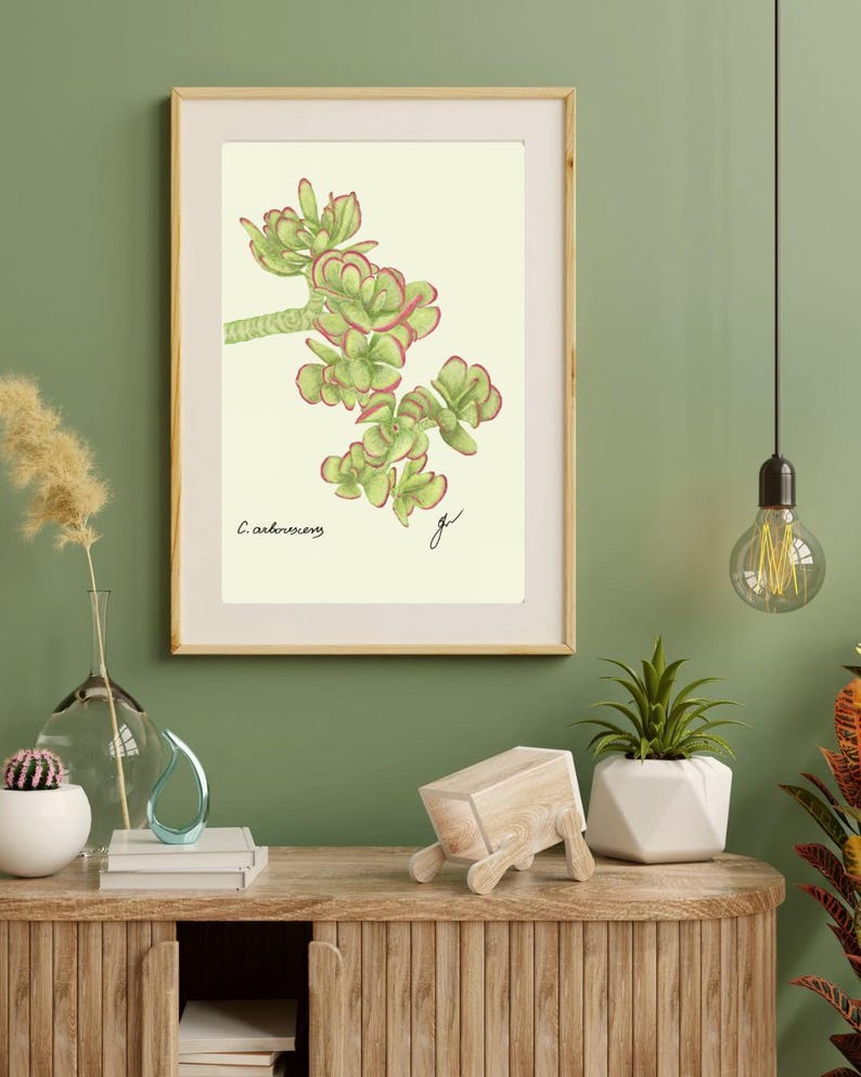Jade print in a wooden frame with white passpartout hanging on a green wall above the dresser