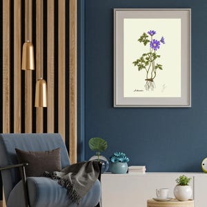 Anemone print in a white frame with passpartout hanging on a blue wall