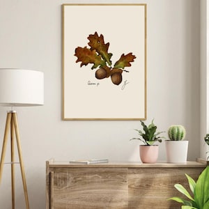 Quercus print in a wooden frame hanging on a white wall