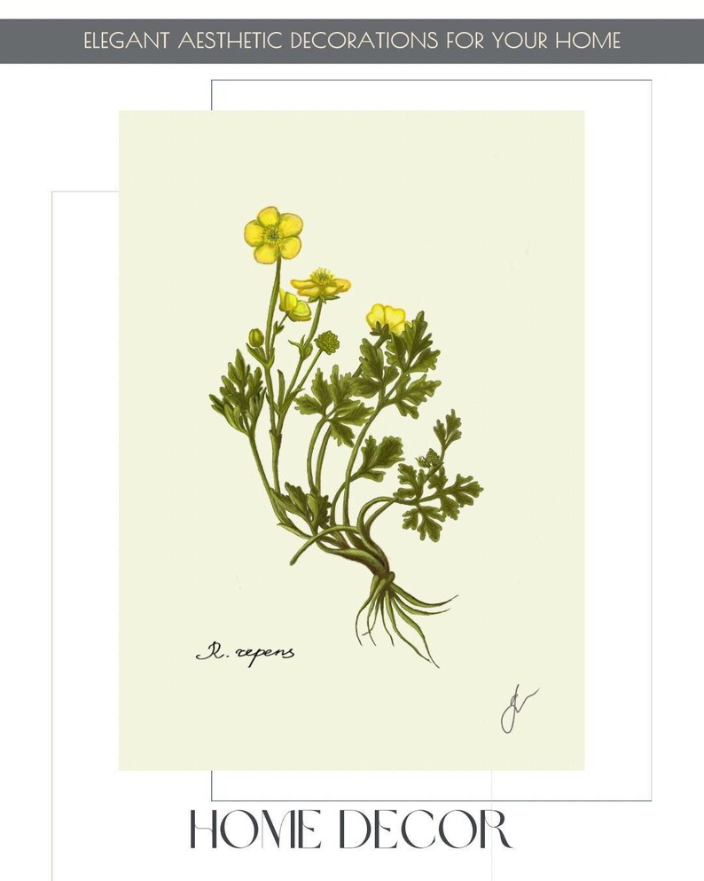 Ranunculus print example as card