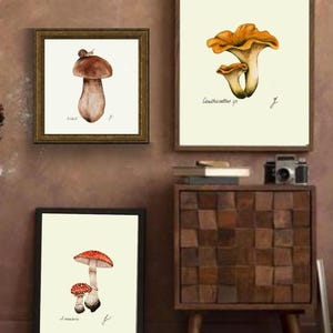 Mushroom Prints: Botanical Fungi Art, Forager Kitchen Decor (Digital Download) image 7