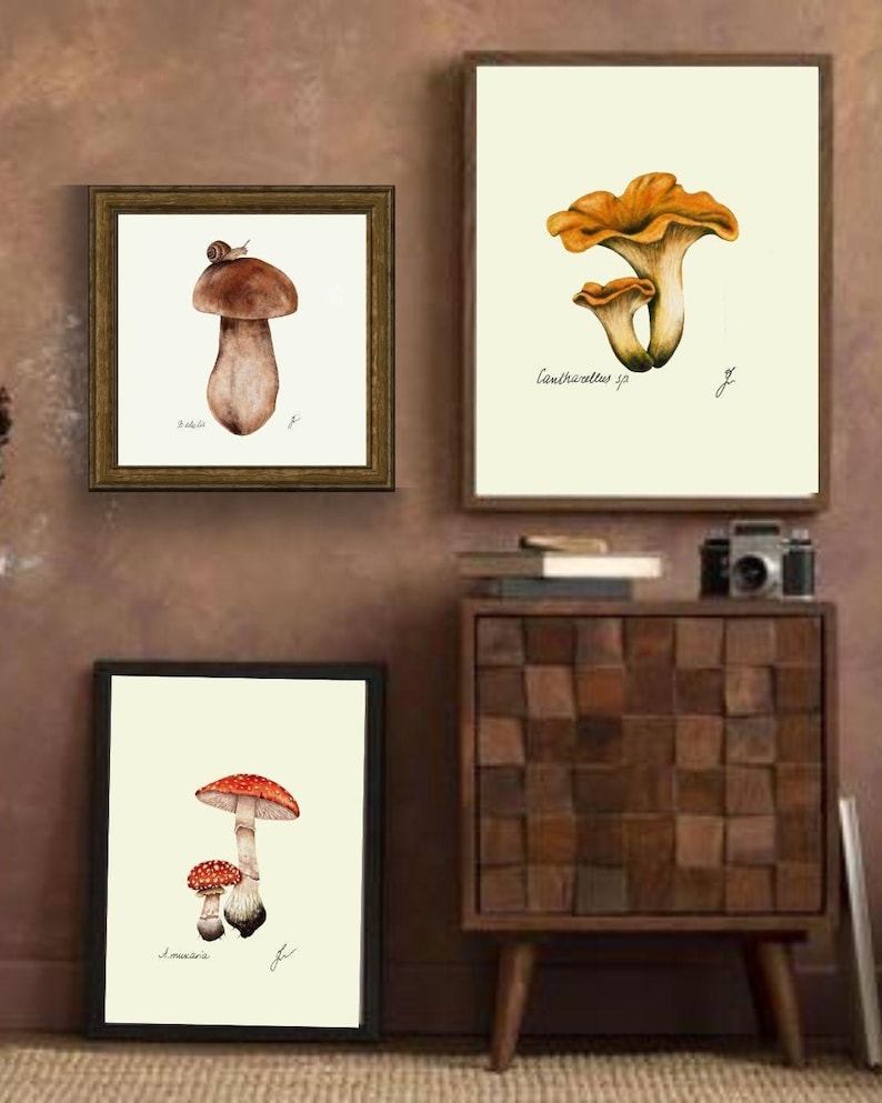 Mushroom Prints: Botanical Fungi Art, Forager Kitchen Decor (Digital Download) image 7
