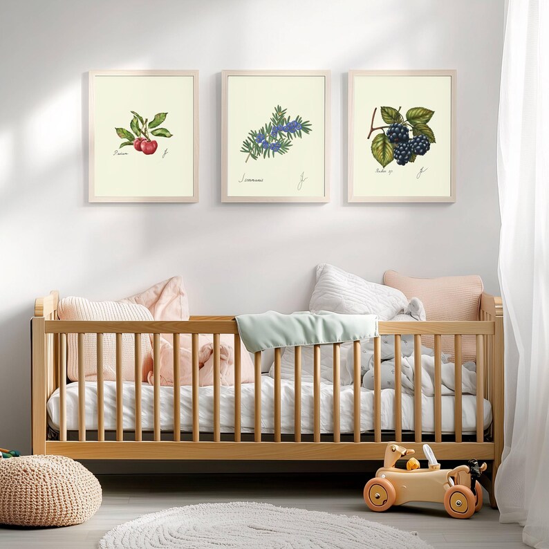May include: Three framed botanical prints with illustrations of a cherry branch, a juniper branch, and a blackberry branch. The prints are hanging on a white wall above a wooden crib with a white mattress and a light green blanket.