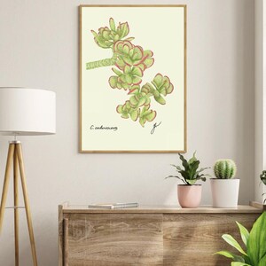 Jade print in a wooden frame hanging on a white wall