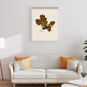 Quercus print in a white framed print on a white wall above a white couch