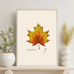 Acer print on a white shelf next to two white vases and a white background