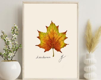Vintage Maple Leaf Print: Botanical Illustration (Digital Download)