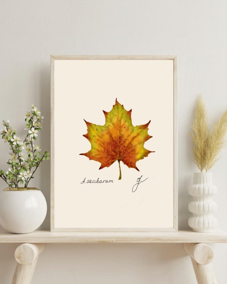 Acer print on a white shelf next to two white vases and a white background