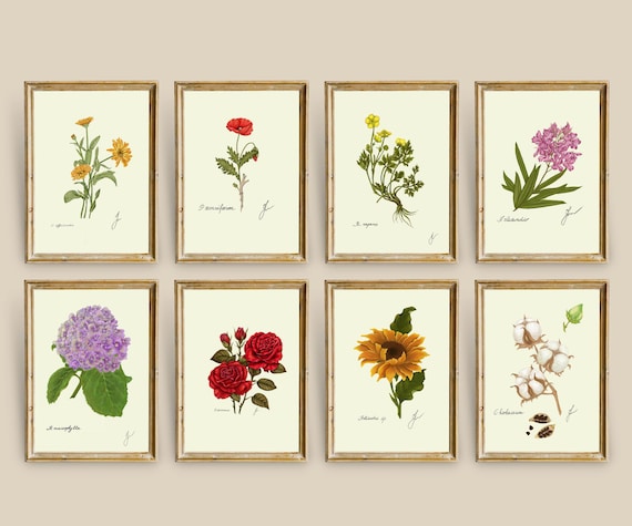 Summer Flower Prints Set: Botanical Art, Beach House Decor (Digital Download)
