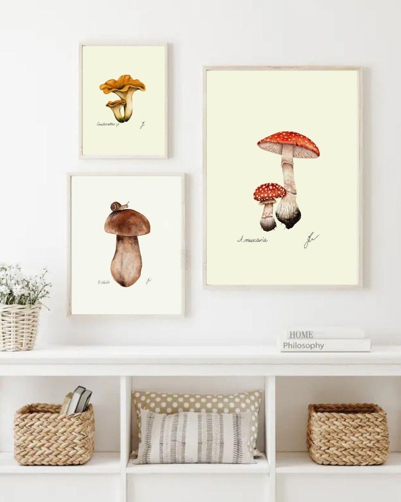 Mushroom Prints: Botanical Fungi Art, Forager Kitchen Decor (Digital Download) image 8