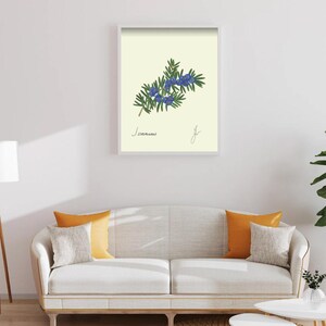 Juniper print in a white framed print on a white wall above a white couch