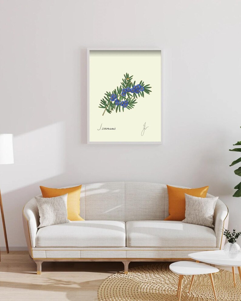 Juniper print in a white framed print on a white wall above a white couch