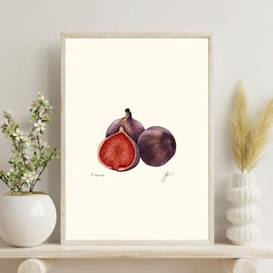 Fig Botanical Print | Kitchen Art | Digital Download | Farmhouse Decor | Gallery Wall |Printable Art | Housewarming Gift | Dining Room Décor