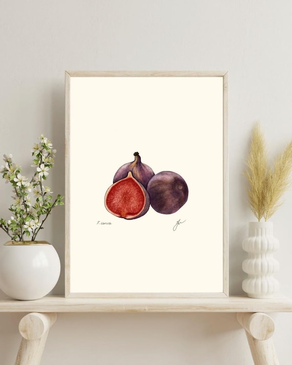 Fig Botanical Print: Vintage Kitchen Wall Art (Digital Download)