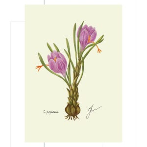 Crocus print example as card