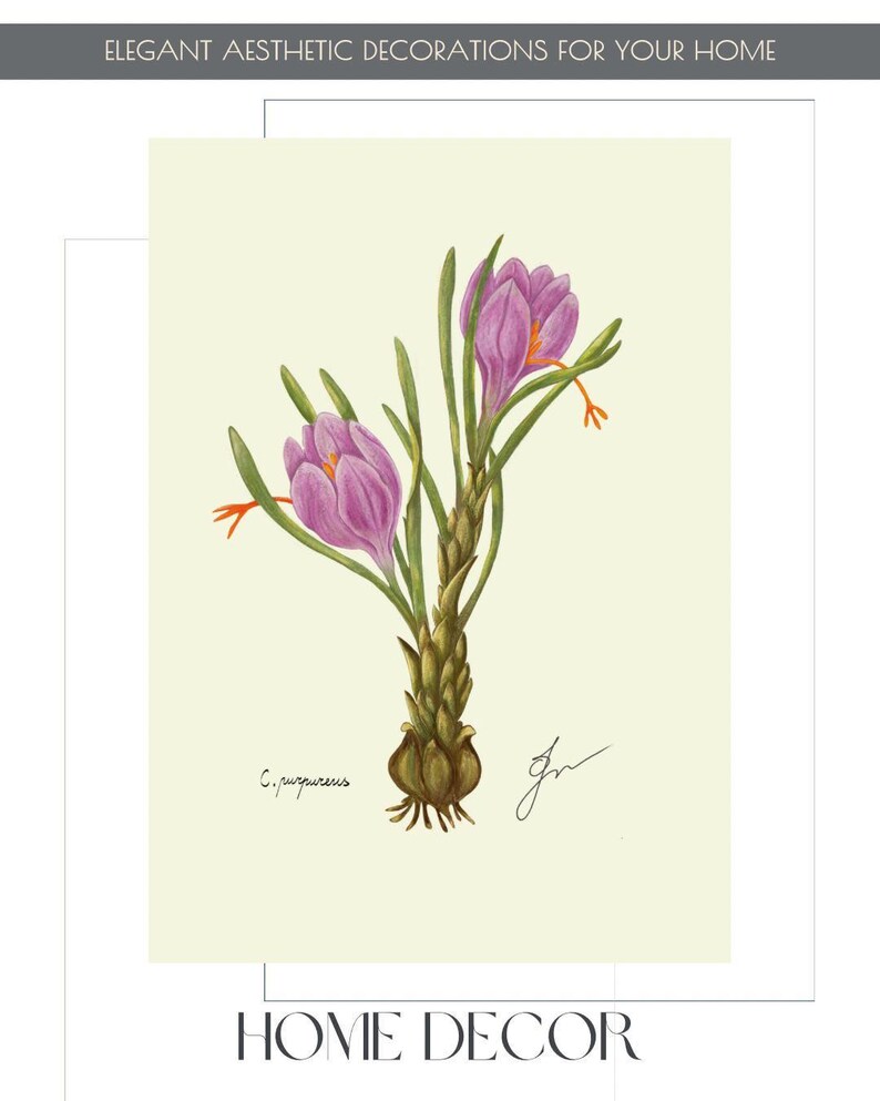 Crocus print example as card