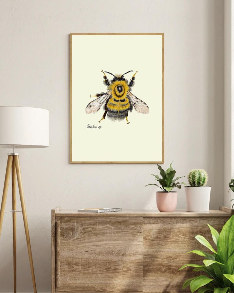 Bumblebee print in a wooden frame hanging on a white wall