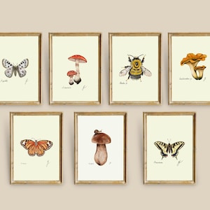 Set di stampe di funghi e farfalle: illustrazioni botaniche (download digitale)