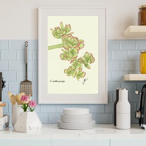 Jade print in a white frame on a kitchen wall