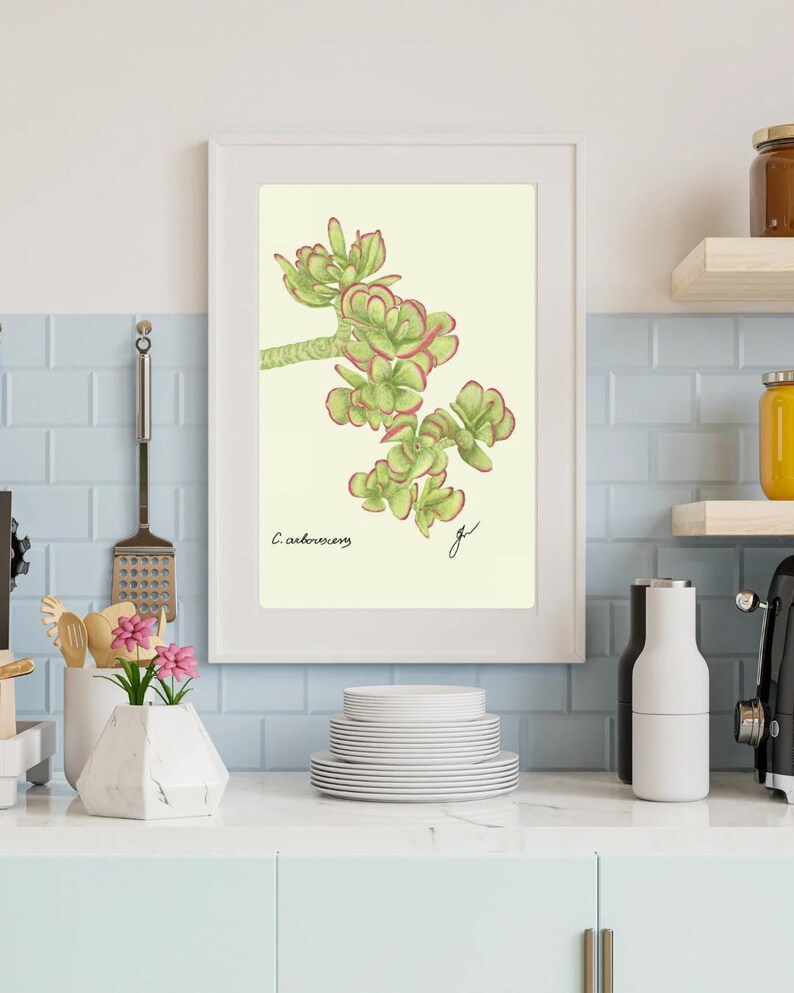 Jade print in a white frame on a kitchen wall