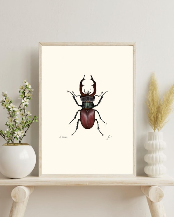 Vintage Stag Beetle Print: Entomology Art, Cabinet of Curiosities (Digital Download)