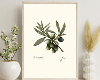 Olive Branch Botanical Print: Mediterranean Kitchen Wall Art (Digital Download)