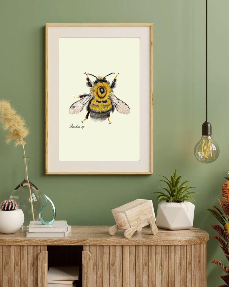 Bumblebee print in a wooden frame with white passpartout hanging on a green wall above the dresser