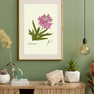 Oleander print in a wooden frame with white passpartout hanging on a green wall above the dresser
