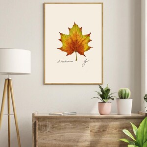 Acer print in a wooden frame hanging on a white wall