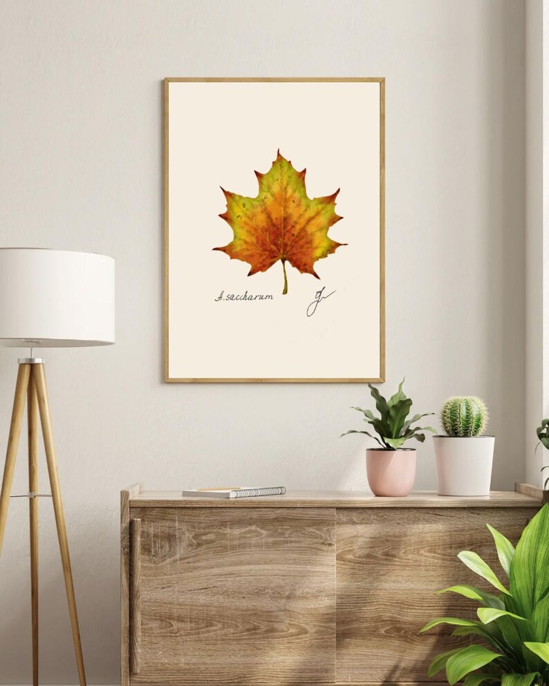 Acer print in a wooden frame hanging on a white wall