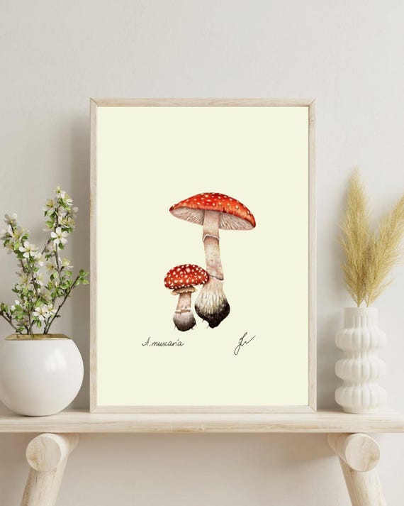 Amanita Mushroom Botanical Print: Vintage Fungi Illustration (Digital Download