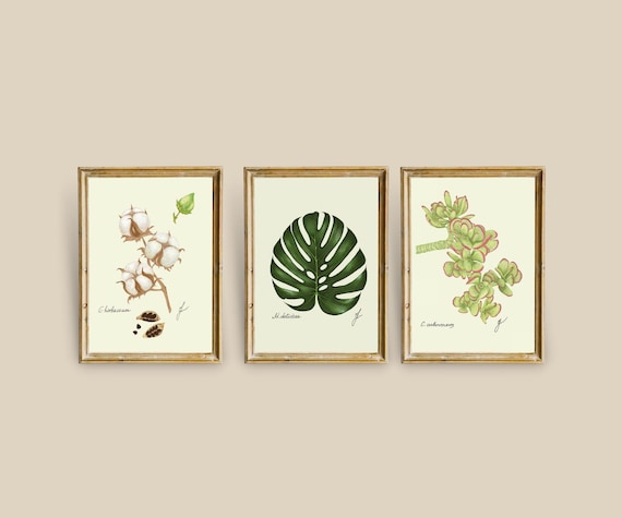 Botanical Prints Set: Exotic Houseplant Art (Digital Download)