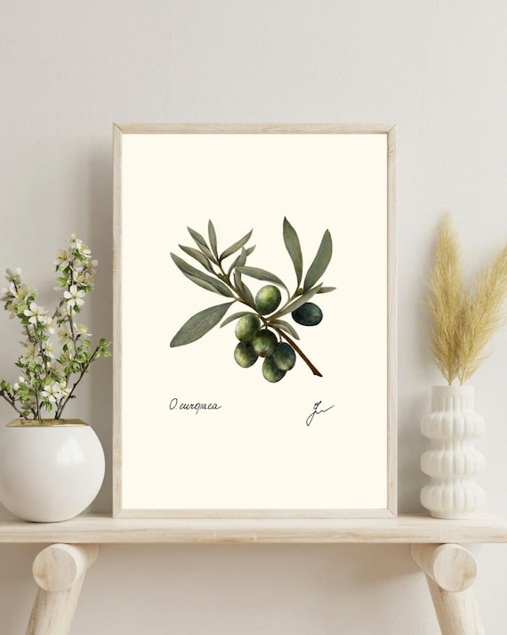 Olive Branch Botanical Print: Mediterranean Kitchen Wall Art (Digital Download)