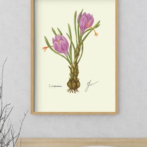 Crocus print in a wooden framed print above a bed
