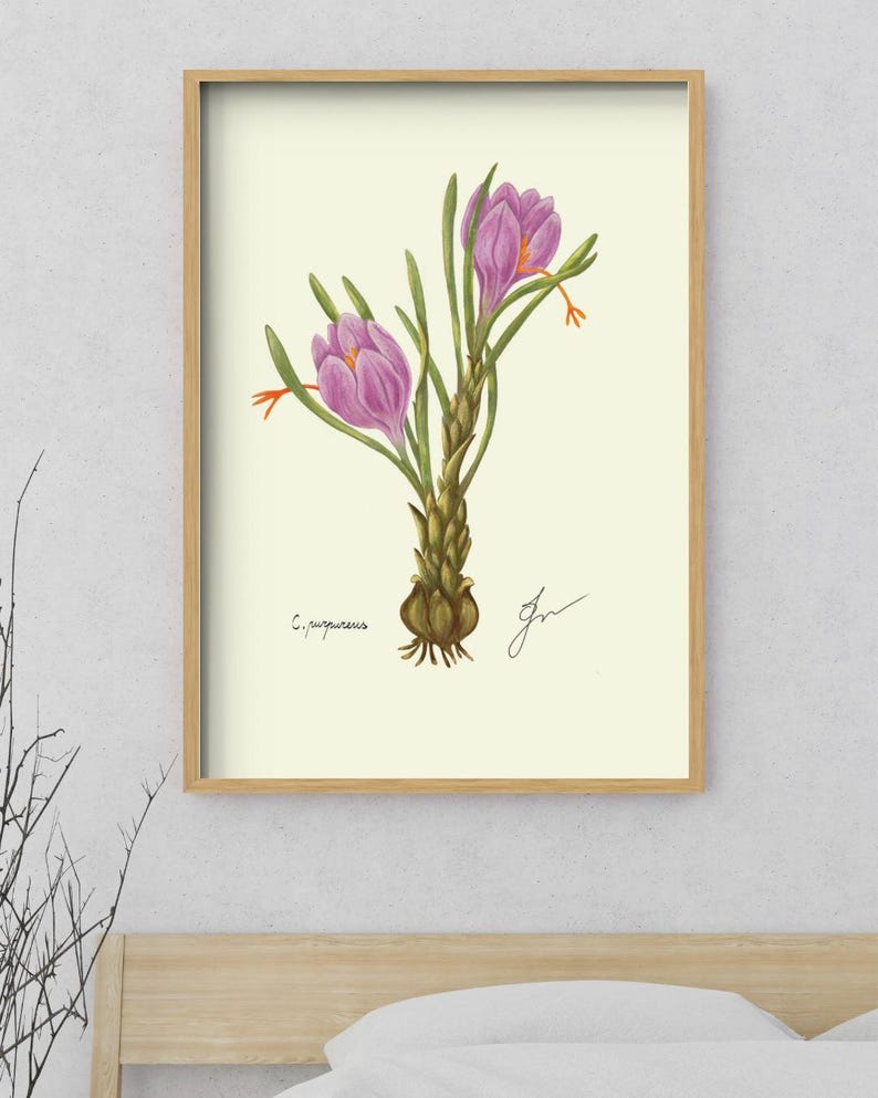 Crocus print in a wooden framed print above a bed